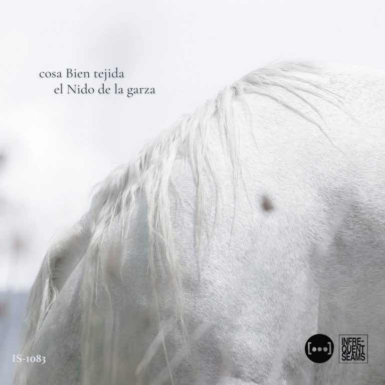 Album cover for El Nido de la Garza, by Cosa Bien Tejida (Infrequent Seams, 2026)